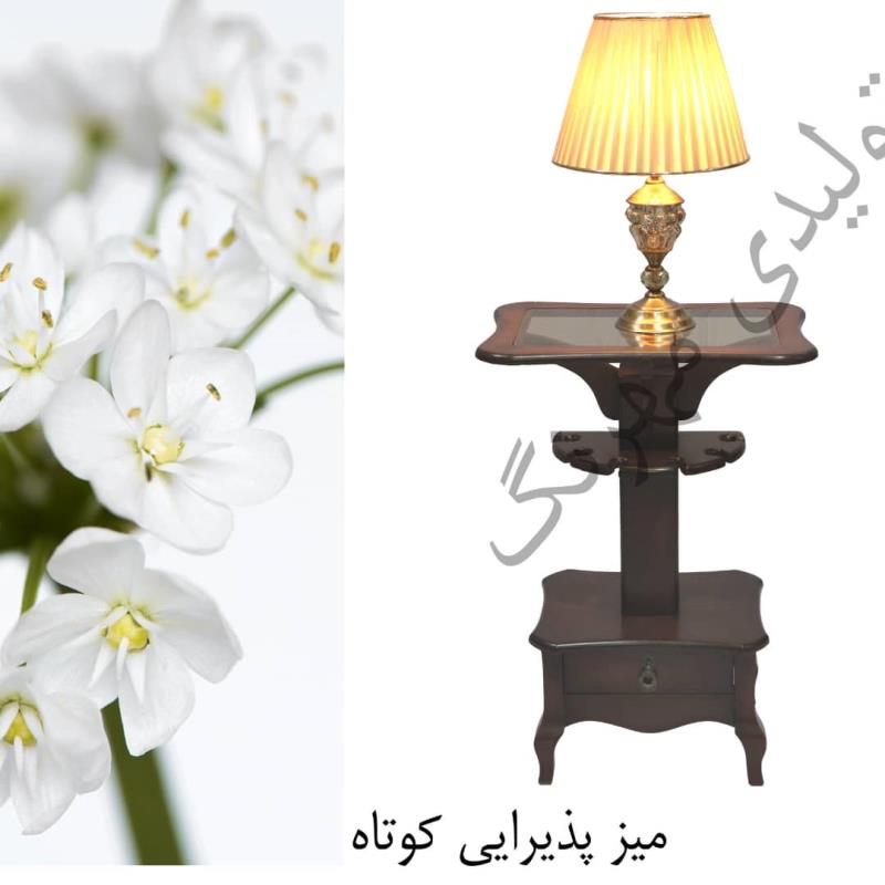 میز پذیرایی کوتاه 