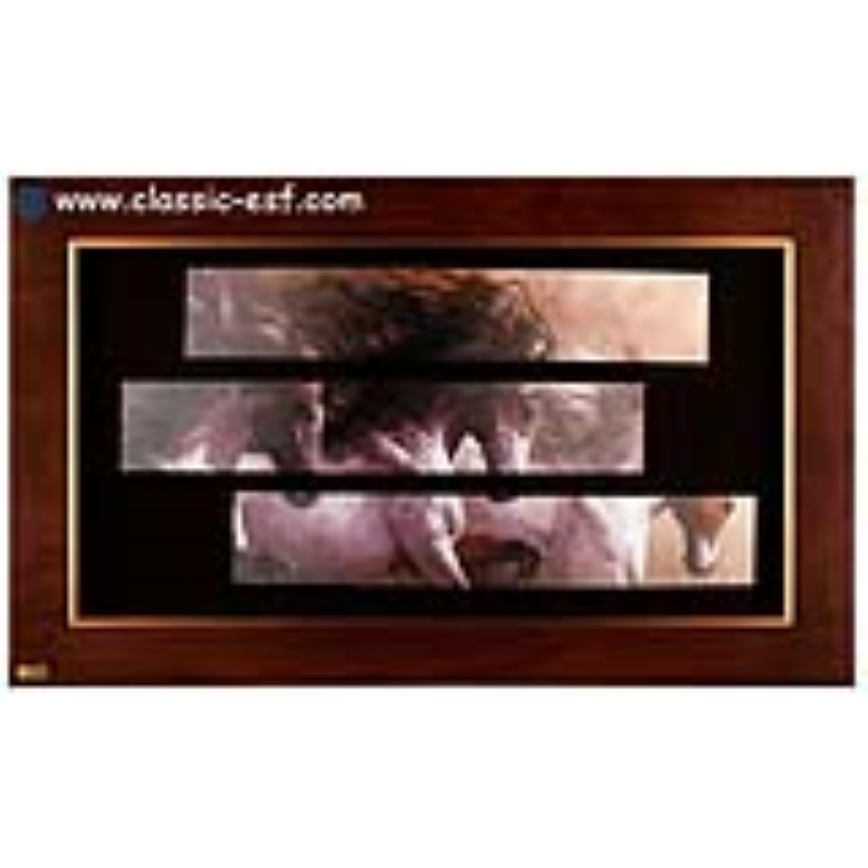 تابلو مدل لوتوس FWB-3P-100X60-B 